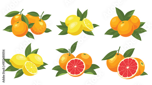 Colorful citrus fruit sets featuring oranges and lemons with green leaves for refreshing juice and healthy food illustrations.