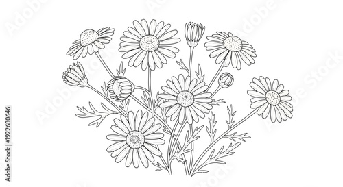 Beautiful bouquet of daisies in elegant line art style