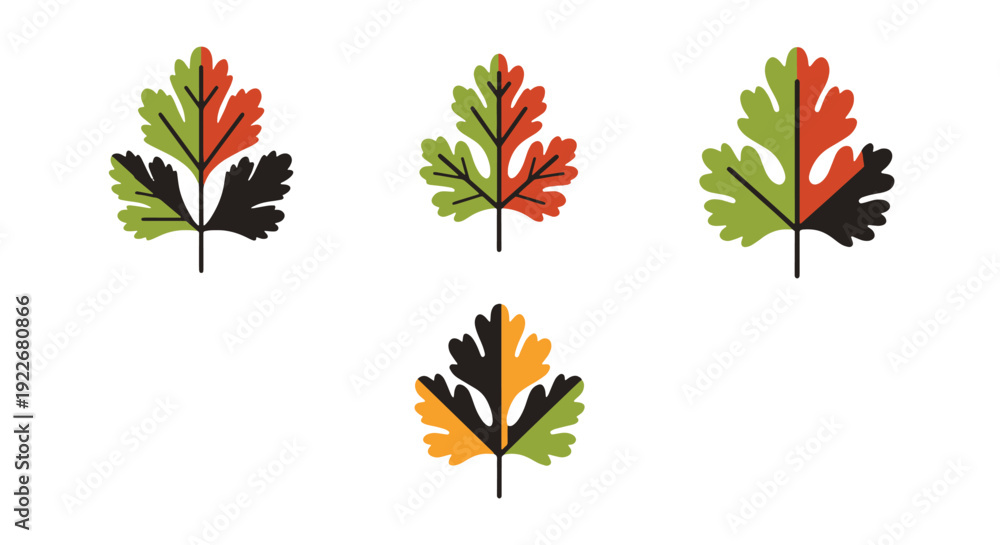 Obraz premium Coriander leaf Line minimal abstract style vector