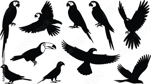 Tropical bird silhouettes collection, parrot macaw and toucan vector set, exotic jungle birds flying and perching icons isolated, wildlife nature.