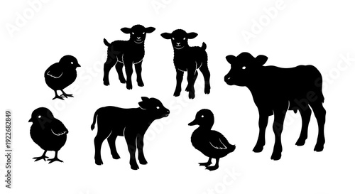 Collection of Black Silhouettes of Cute Baby Farm Animals: Lambs, Calves, Chicks, and Duckling Vector Art for Children and Agriculture