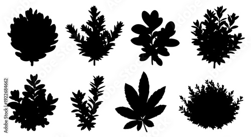 Botanical Nature Plant Silhouettes Vector Set: Diverse Black Bush, Tree, and Leaf Glyphs for Gardening, Landscape, and Environmental Design Elements