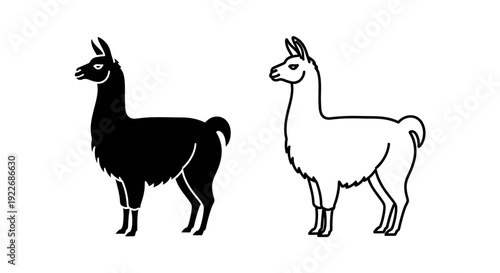 Black and white llama silhouette vector illustration design Vector
