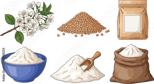 Flour and grain vector illustration set. Wheat flour in bowl, sack and package. Buckwheat groats and blossom branch hand drawn food collection.