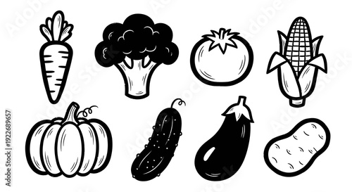 Hand Drawn Black and White Line Art Food Vegetables Collection Vector: Carrot, Broccoli, Tomato, Corn, Pumpkin, Cucumber, Eggplant, Potato Doodle Icons