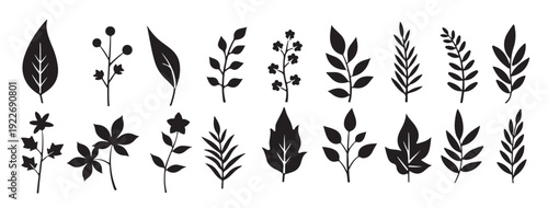 black and white silhouette leaf and branch set