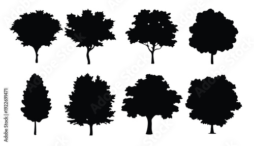  red maple sugar maple oak poplar green oak birch