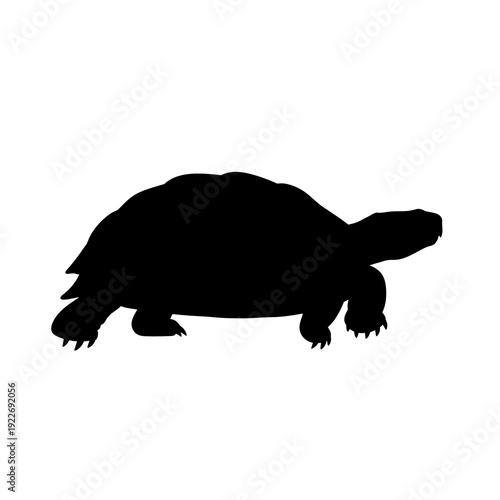 Black tortoise silhouette vector illustration isolated on white background