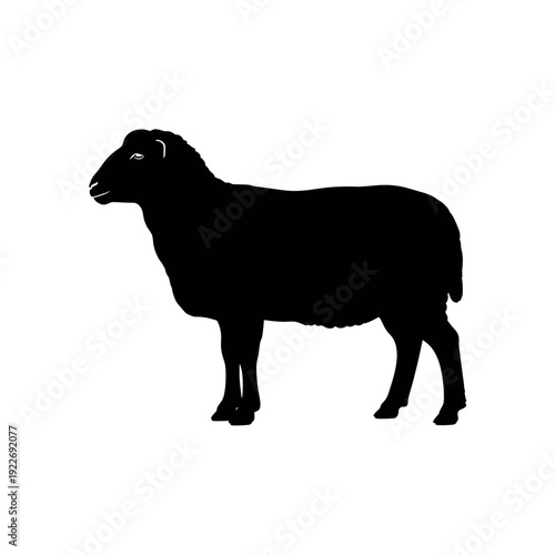 Black silhouette of a sheep standing in profile view isolated on white background