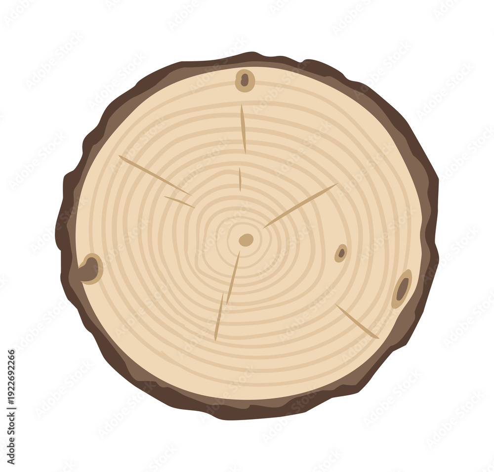 Fototapeta premium Cartoon wood lumber saw cut. Tree trunk round piece, lumber wooden industry material flat vector illustration. Trunk cut isolated on white background