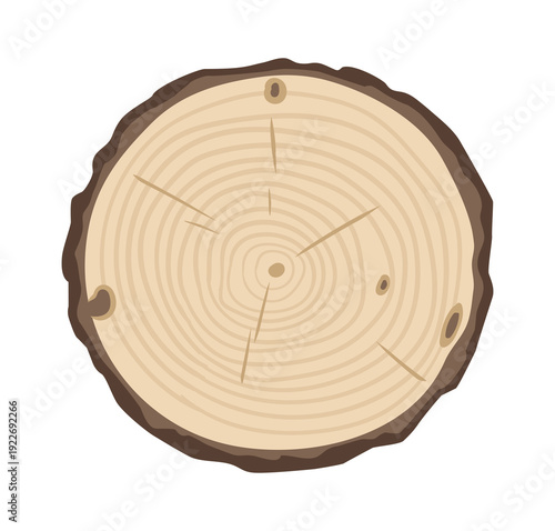 Cartoon wood lumber saw cut. Tree trunk round piece, lumber wooden industry material flat vector illustration. Trunk cut isolated on white background