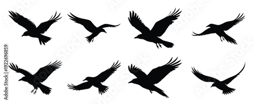  nine black raven silhouettes are soaring and flying in