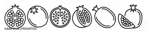 pomegranate fruit line art set isolated flat illustration