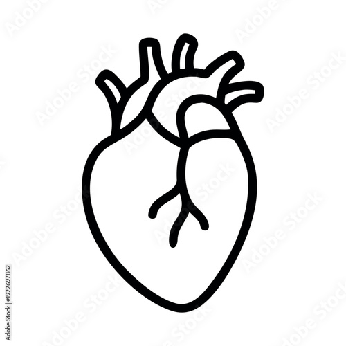 Anatomical representation of a human heart