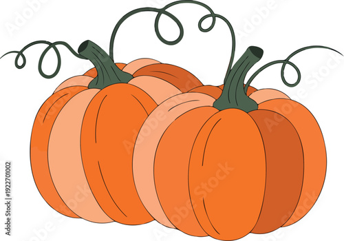Autumn Pumpkin Duo Illustration Set Hand-Drawn Gourds with Curly Vines