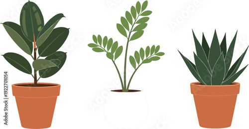Set of three realistic indoor houseplant vector illustrations featuring a rubber plant ZZ plant and aloe vera in terracotta and ceramic pots for home decor design.