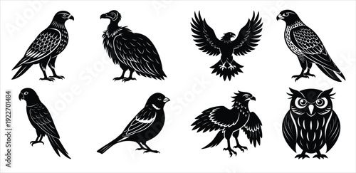  nine different black and white bird silhouettes of eagle
