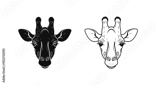 Two giraffe heads, black and white, line art, minimalist, illustration, vector Vector