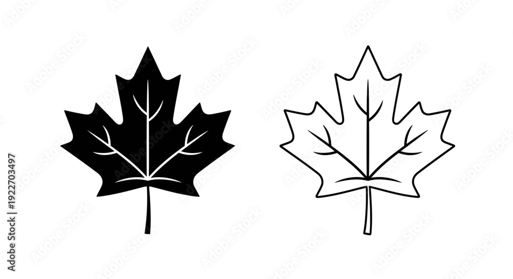Obraz premium Maple leaf designs: black and white line art illustrations for graphic design Vector