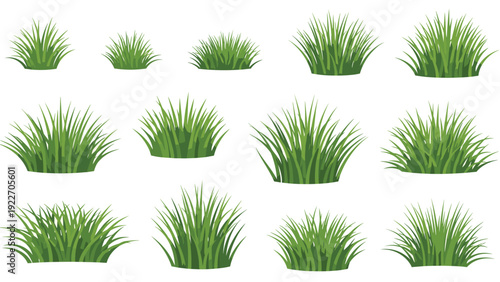 Collection of various green grass tufts in different sizes and shapes for landscape architectural designs and nature-themed outdoor scenes.