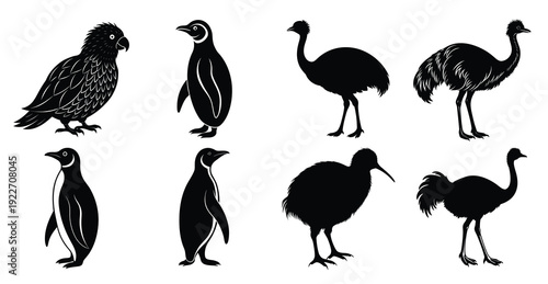  black silhouettes of assorted flightless birds and a parrot