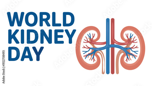 World Kidney Day awareness illustration with human kidney anatomy, renal arteries, veins, ureters, and urinary system for health campaign