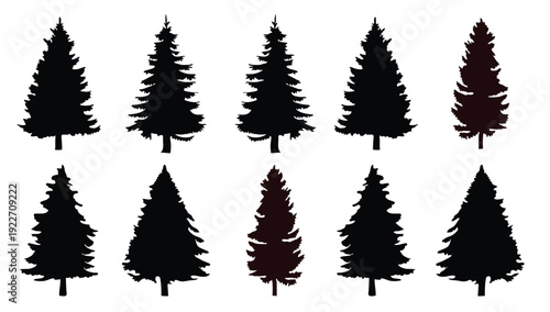 pine trees silhouettes vector