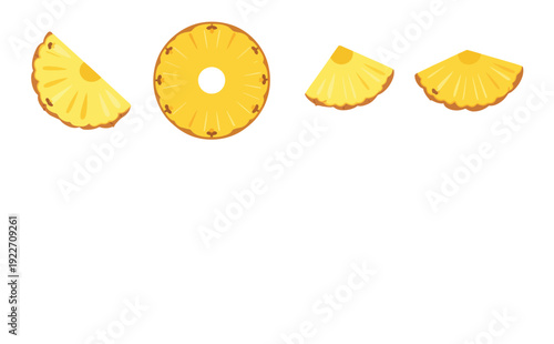 pineapple slices illustration round slice and quarter slices