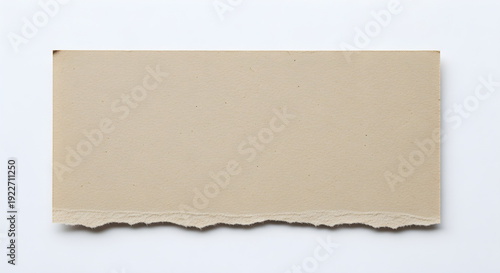 beige textured paper with rough torn edges on a plain white background surface canvas display