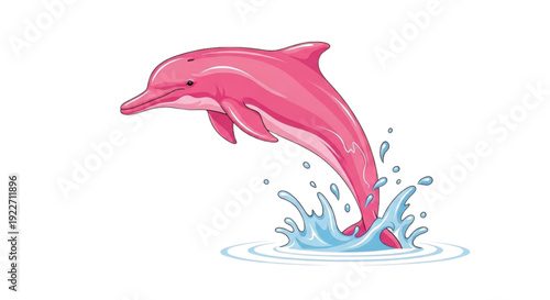 Amazon river dolphin jumping out of water with splash effect  