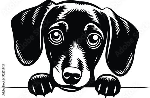Cute dachshund puppy head mascot logo in bold black and white style. Detailed vector illustration suitable for pet branding, veterinary clinics, dog lovers, mascot design and animal themed projects.