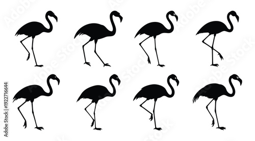 nine flamingo silhouettes standing gracefully create