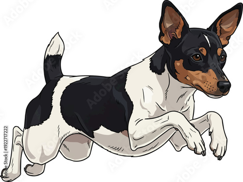 Toy Fox Terrier dog jumping leaping action movement illustration