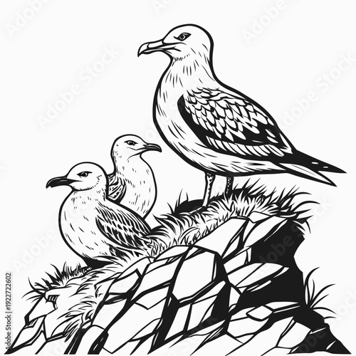 Seagulls perched on a rocky cliff side