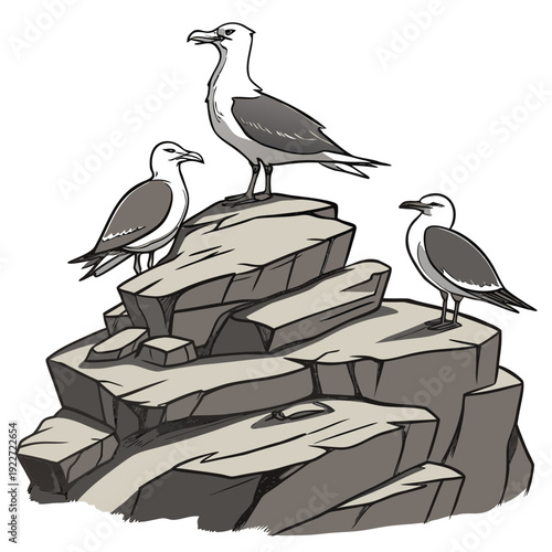 Seagulls perched on a rocky outcrop