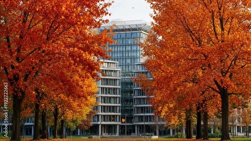 Modern office building surrounded by vibrant autumn trees - 4k video