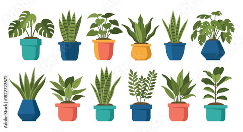 Vibrant collection of colorful potted houseplants in modern pots