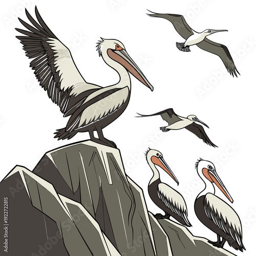 A group of pelicans perched on a rocky outcrop