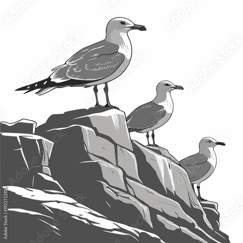 Three seagulls standing on a rocky cliff edge