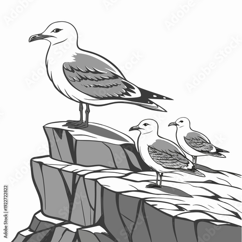 Seagulls perched on a rocky cliff edge