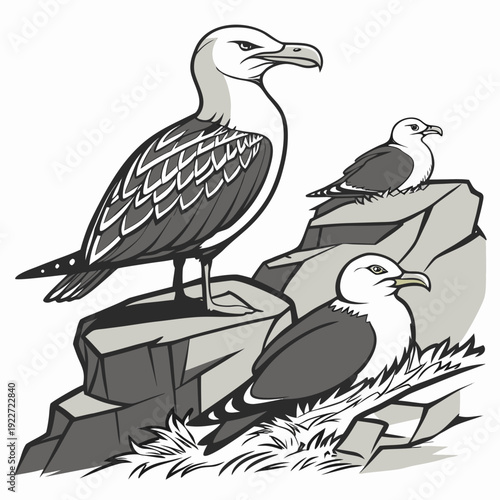 Seagulls perched on rocks by the sea