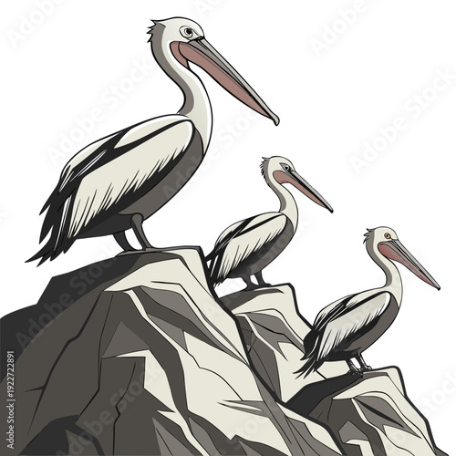 Three pelicans perched on a rocky outcrop