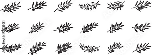 Featuring stylized black Olive Branch silhouette design,  Each Olive Branch displays a unique design olive branch vector art.