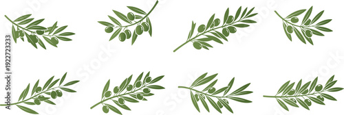 Featuring stylized black Olive Branch with leaves and fruits clip art design,  Each Olive Branch displays a unique design Olive Branch green color vector art.