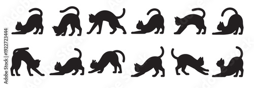 black cat stretching silhouettes collection of playful