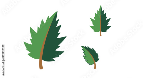 Jagged leaf Line art minimal elegant color illustration