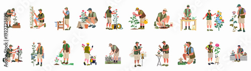 Dedicated Gardeners Nurturing and Cultivating Beautiful Roses: A Comprehensive Illustration Set Showcasing Planting, Care, Pruning, and Appreciation of Blooms.