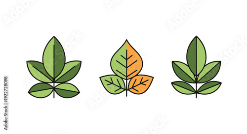 Herbal medicine leaf simple minimal color illustration