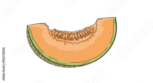 Fresh slice of orange cantaloupe melon showing the inner fruit with seeds and the textured green outer rind against a white background.