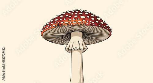 Classic red and white spotted fly agaric mushroom or Amanita muscaria shown from a low angle against a plain light beige background.
